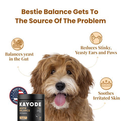 Kayode Bestie Balance extrait chardon Marie, soutien hépatique naturel.