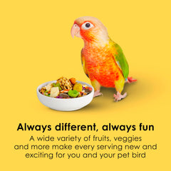 Kaytee Fiesta Conure – ananas carotte coco apportant douceur naturelle et goût varié.