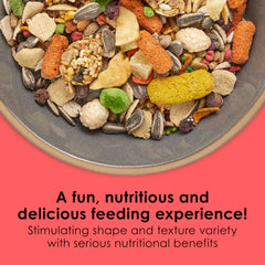 Kaytee Fiesta Conure – grains et fruits riches pour des saveurs variées.