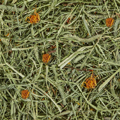 Kaytee foin de timothy filaments longs, texture variée appréciée des petits animaux