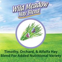 Kaytee foin Timothy verger-alfalfa, mélange naturel pour le forage quotidien