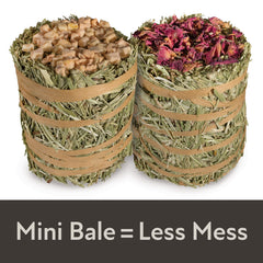Kaytee hay mini-bales fibre dense et naturelle.
