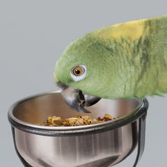Kaytee banane séchée, morceaux fruités pour varier les plaisirs de l'oiseau.