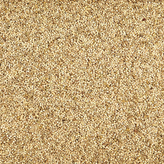 Mélange Kaytee Supreme de grains et graines naturelles pour l'enrichissement.