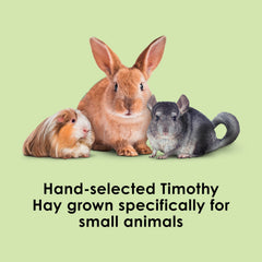 Kaytee Timothy Hay : équilibre feuilles-tiges mis en évidence, texture variée.