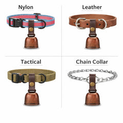 Capsule d’identification amovible pour noter coordonnées et retrouver votre chien