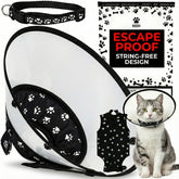 Kedi Cats Solutions kit cône récupération ensemble, rétablissement en douceur
