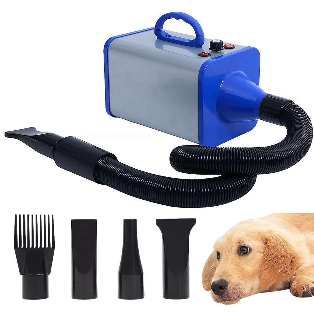Keqi Sèche-Chien Pro 2400W, performance rapide pour les animaux.