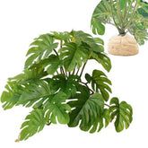 KERUIDENG plante terrarium monstera-deliciosa-base: décor réaliste et base lourde pour stabilité.