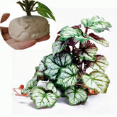 KERUIDENG Plante reptile terrarium verte avec base pesante pour stabilité.