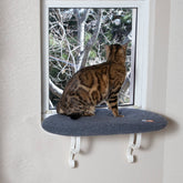 Kitty Sill de K&H – hamac-fenêtre pour chat gris, idéal pour soleil et détente.
