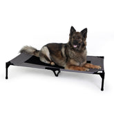 Lit chien surlevé extérieur K&H Pet Products, pour ventilation et repos à l'extérieur.