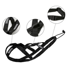 KH866 harnais pour bikejoring et skijoring X-back stabilité et traction maîtrisée.