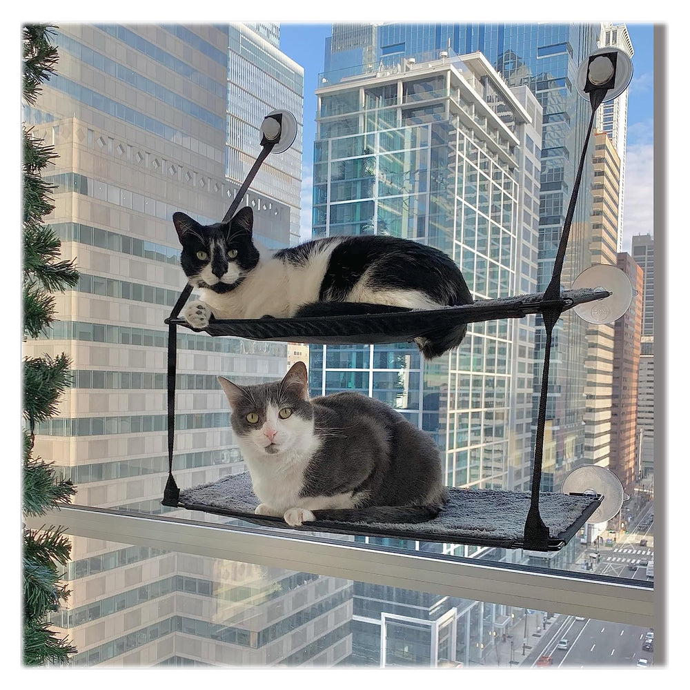 K&H EZ Mount Double Stack, perchoir fenêtre chat, vue panoramique sur deux niveaux.