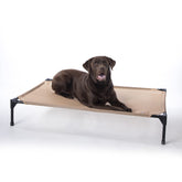 K&H lit-chien elevé extérieur avec cadre métallique et mesh respirant.