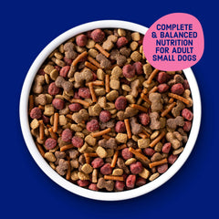 Kibbles 'n Bits Mini Bits – saveur boeuf et poulet qui stimule l'appétit des petits chiens.