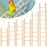kigeli escalier bois oiseaux petit, favorise l'exercice dans la cage.