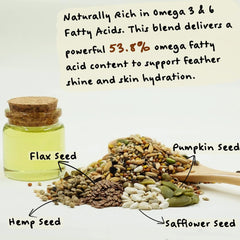 KikiBirds Feather Shine perroquet mange illustre un perroquet motivé par une alimentation complète.
