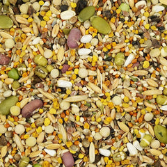 KikiBirds Feather Shine texture-grains croquante pour stimuler l'appétit.
