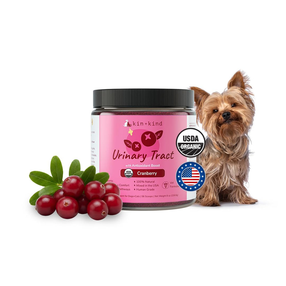Kin-kind bouteille-immunite: soutien quotidien pour chiens et chats.