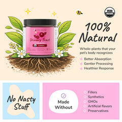 Kin-kind myrtille: ingredient antioxydant pour le bien-être.