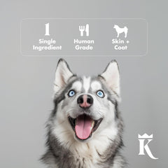 King Lou Pets fabriqué aux États-Unis avec soin et responsabilité.