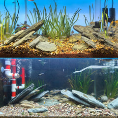 KINGRUI rochers d'ardoise formant cavernes et abris pour poissons et tortues
