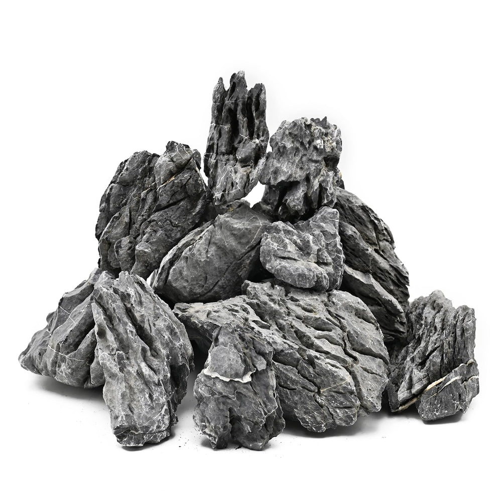 KINGRUI Pierre Dragon: texture unique pour aquarium et décor réaliste.
