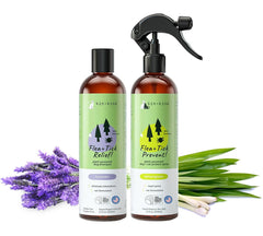Kin+Kind lavande-shampoo-chien : soin doux pour le pelage et les zones sensibles.