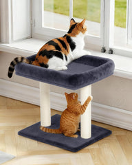 KinoTail arbre-chat design compact facilitant l emplacement près d un canapé