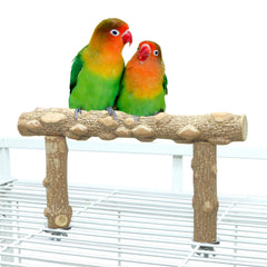 KINTOR perchoir en bois naturel pour petit perroquet, confort et adhérence naturelle.