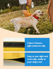 KISJO Accessoire chien pour sorties en plein air, couleur jaune visible.