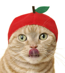 Chapeau chat Kitan Club fruit banane, style joyeux et ajustement sûr.