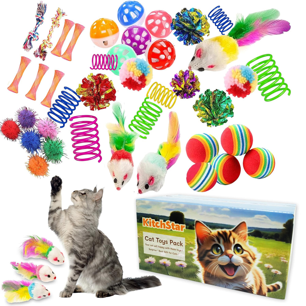 Jouets KITCHSTAR ensemble 46 pièces pour chats intérieurs, divertissement varié