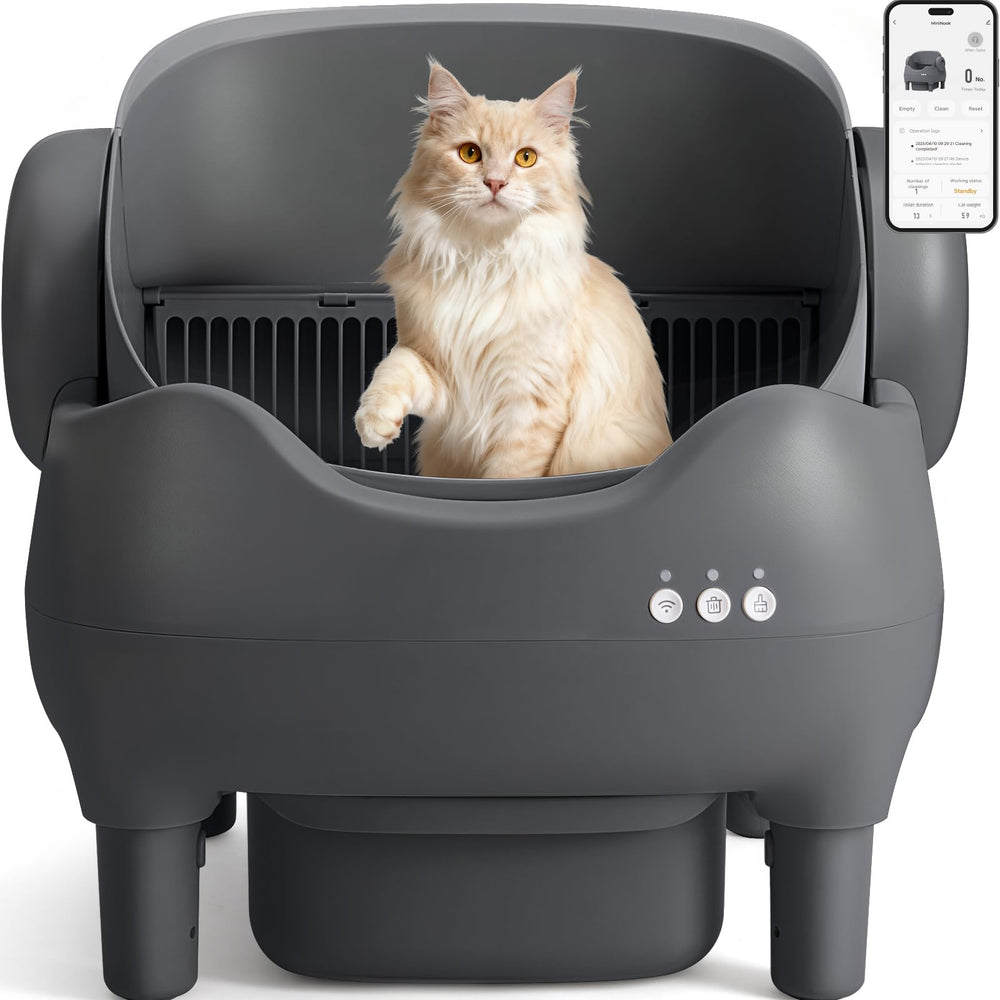 KITPLUS litière automatique à ouverture ouverte facilitant l’accès des chats