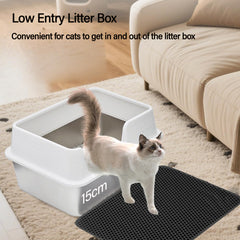Kittenhood rebord incurvé, vue du dessus, traces minimisées.