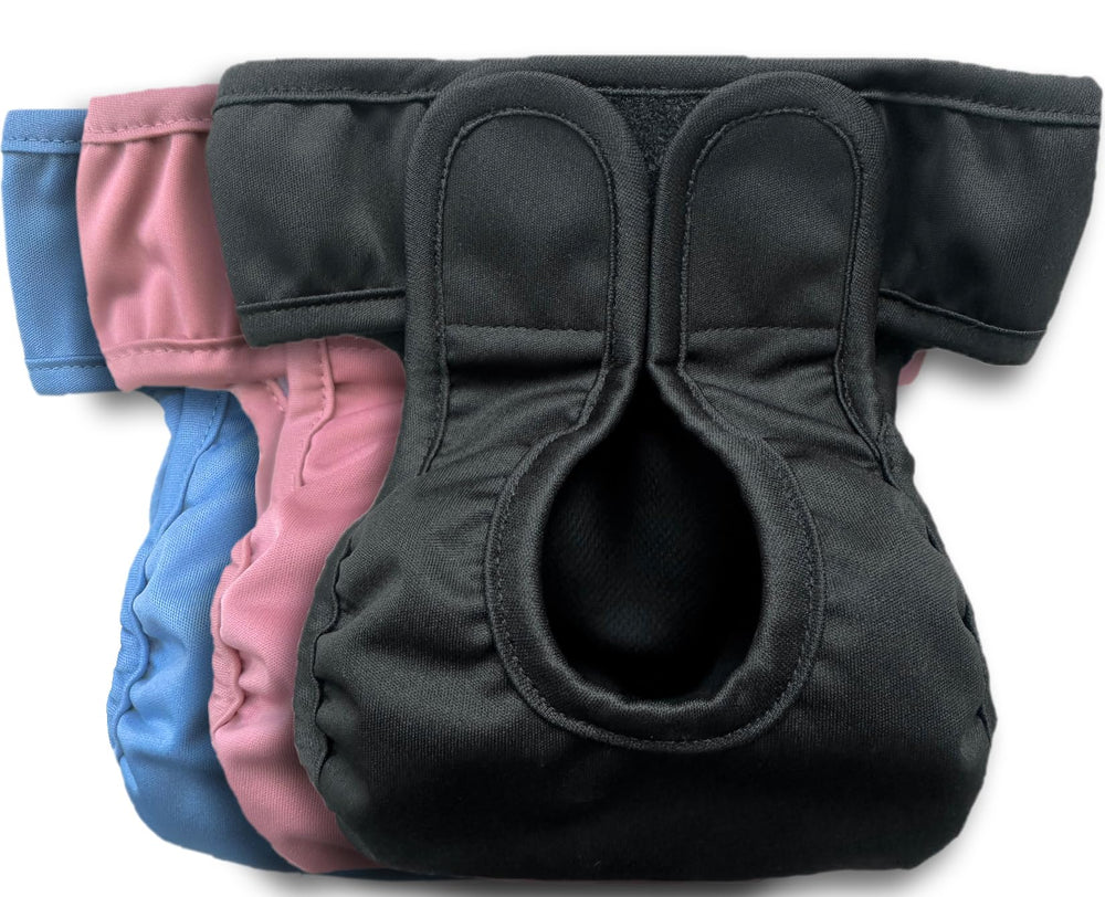 Kitty BumBums pack de 3 protections réutilisables pour chats, pratique et économique.