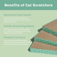 Grattoir chat Kitty City avec herbe à chat pour attirer le griffage.
