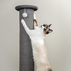 Kitty City: jouet cloche suspendu pour le jeu et la stimulation