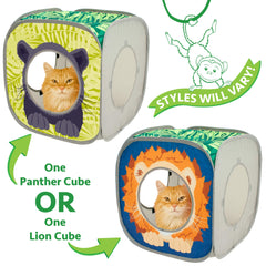 Kitty City Safari Jungle, design tigre safari ludique.
