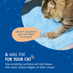 Kitty Cure grattoir en oxyde d’aluminium – finition robuste et durable.