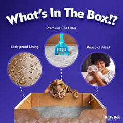 Kitty Poo Club litiere a grains fins six livres: absorption efficace et pratique