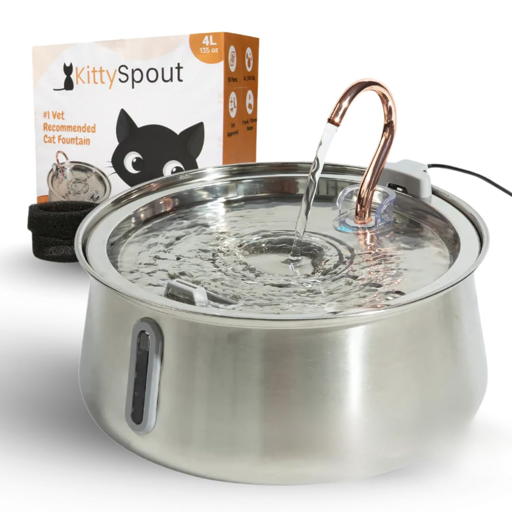 KittySpout fontaine chat inox 4L, eau fraîche pour plusieurs chats au quotidien.
