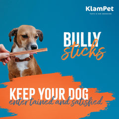 KLAMPET NATURALS bâtonnets pour chiens, texture ferme et dentition saine.