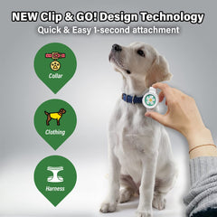 KN FLAX Bug-Off Clip sur collier chien montre une utilisation extérieure.