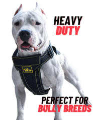 KNK Harnais Pitbull Tactique Dos, stabilité renforcée pendant l'entraînement et les randonnées.