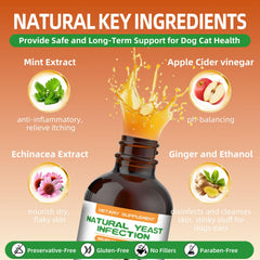 KODASNY pipette – dosage précis pour chiens et chats.