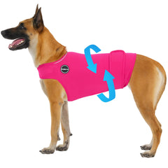 Gilet anxiété Kodervo pour chien en action, apaisement potentiel lors d’un orage