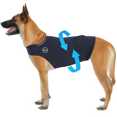 Kodervo gilet chien systeme-attache-double, pression douce et securisee.