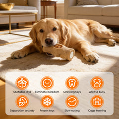 Distributeur de friandises kogven pour stimulation et récompense.